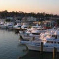 photo of boats docked at rudee inlet